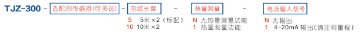 TJZ-300 便携式超声波流量计 选型编号